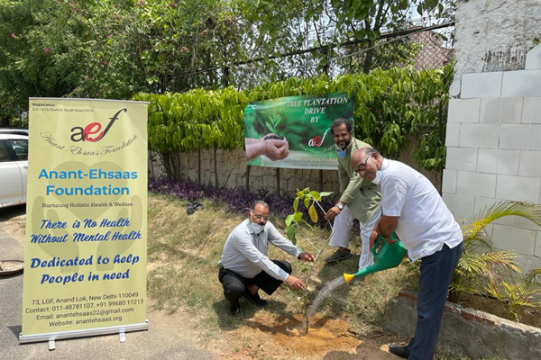 Tree Plantation Drive