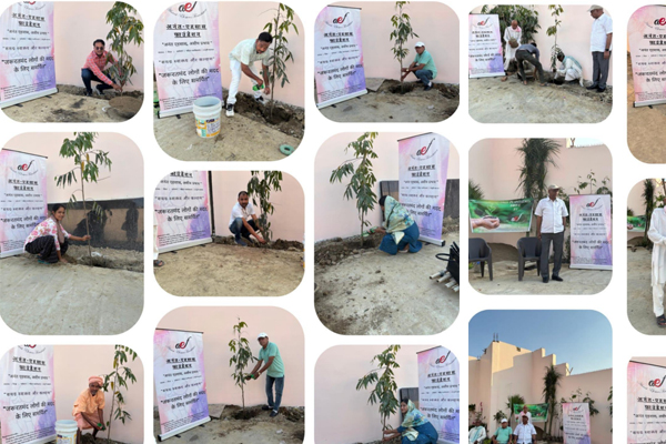 Tree Plantation at Village Shahajanpur U.P.